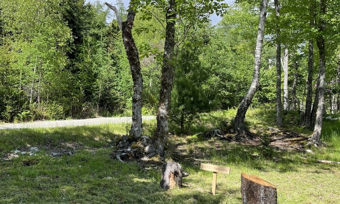 Seawall RV Rental | Luxury Bell Tent steps from Acadia National Park.