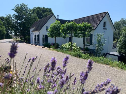 Aalst Bed & Breakfast | Luxury Guest House - Eik op de dijk