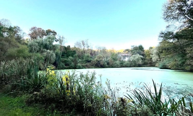 Spring Church House | Luxury Hideaway at Serenity Acres