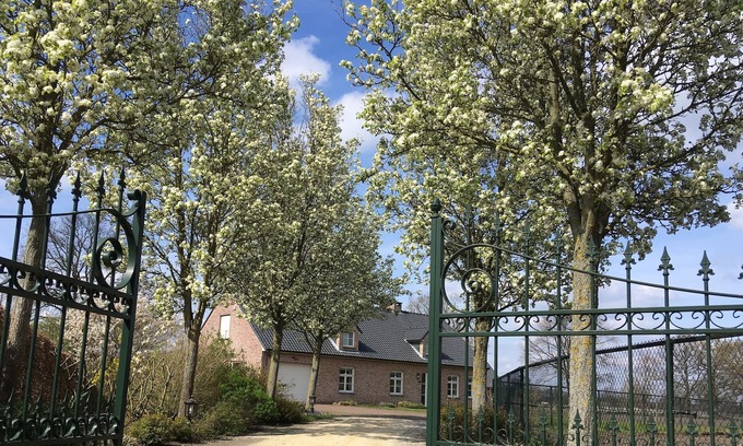 Grote Heide House | Luxury holiday home with horse accommodation.