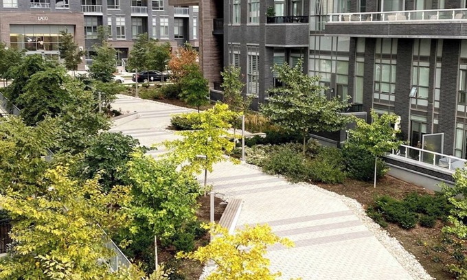 Humber Bay Shores Condo | Luxury Lake View Condo | Modern 1 BD | Free Parking