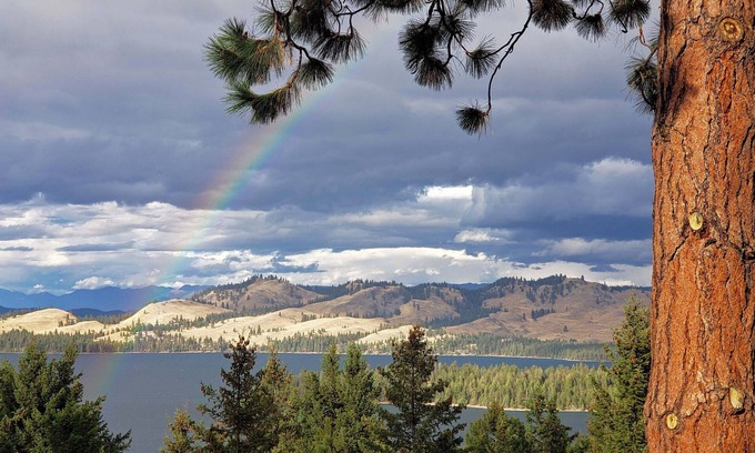 Big Arm Cabin | Luxury Lodge: Flathead Lake & Wild Horse Island