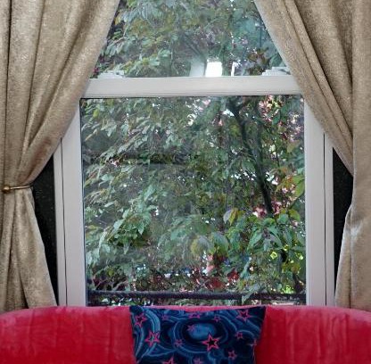 Haringey House | Luxury London house sleeps 13, 2 minutes to metro