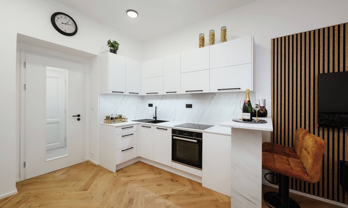 Podoli Apartment | Luxury Musicians Apartment Central Praha