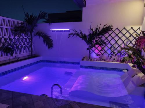 Sal Rei Apartment | Luxury Paradise Beach Lagoon