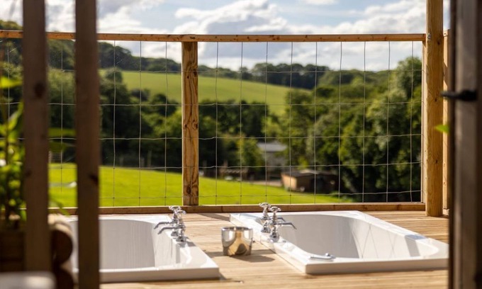 Broadwoodkelly House | Luxury Safari Lodge surrounded by deer! 'Roe'