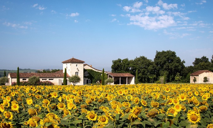 Condom Other | Luxury secluded 14c hilltop Farmhouse set in 10 acres