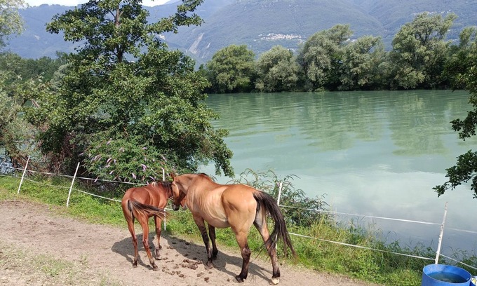 Traona House | Luxury Villa Sleep 6 Close to Lake of Como