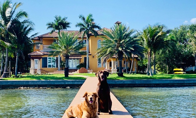 Greater Pinellas Point House | Luxury Waterfront Estate