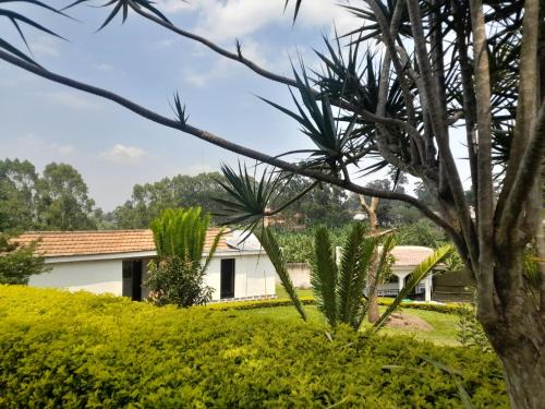 Fort Portal House | Maasai Villa Backpackers Home