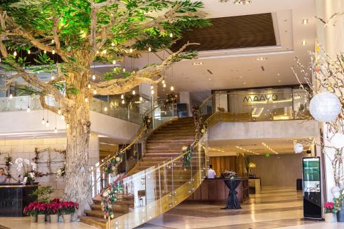 Mandaue Hotel | Maayo Hotel