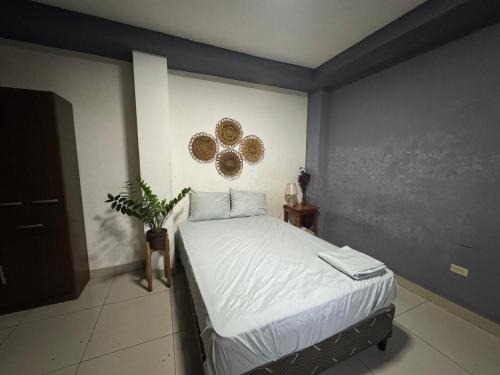 Sonzacate House | Macaw Stay Room