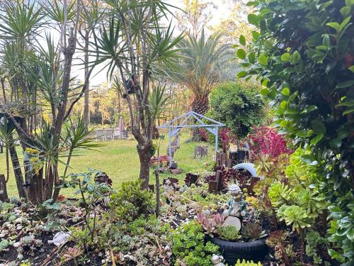 Woollamia House | Macyland