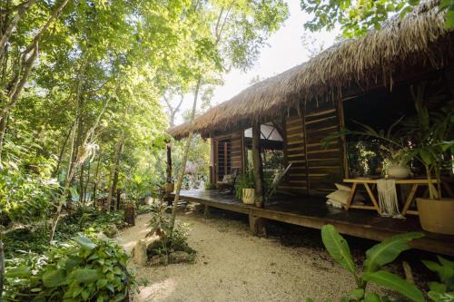 Leona Vicario House | Madre Tierra Eco Habitat