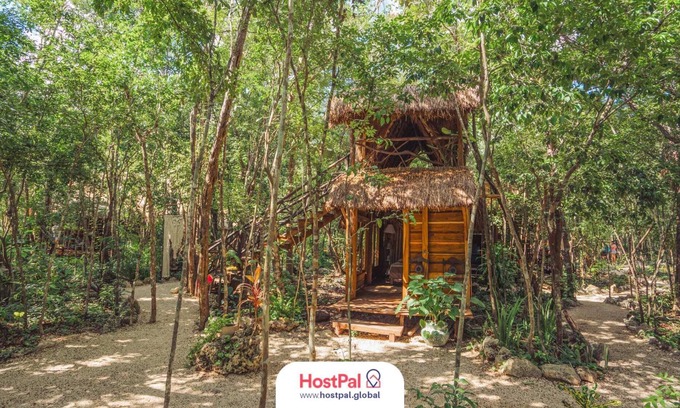 Leona Vicario Cabin | Madre Tierra Eco Habitat | Alberca natural y yoga