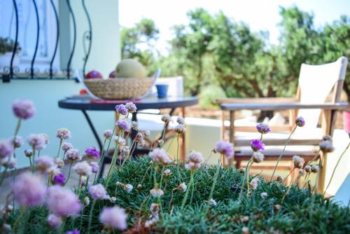Polemarchi Apartment | MaGea- Asterias Ground floor peaceful apartment