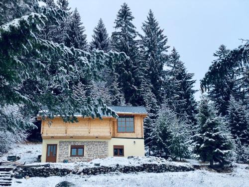 Pitomine House | Magia di montagna