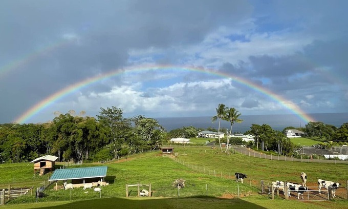 Paukaa Bed & Breakfast | Magic Skies Ocean View Turtle Room