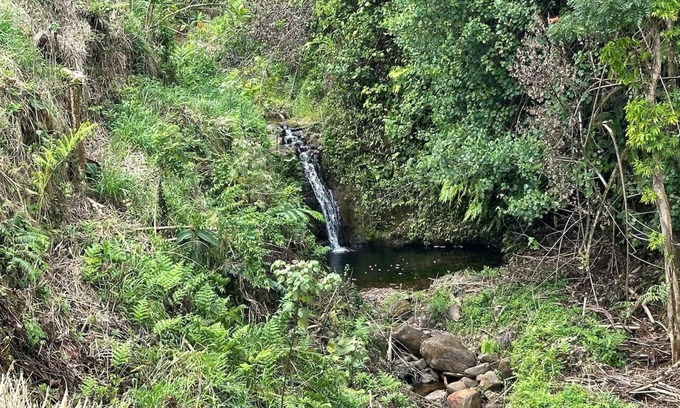 Paukaa Bed & Breakfast | Magic Skies Top Floor Waterfall Botanical Room