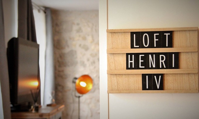 Nerac Apartment | Magnificent apartment - Le loft Henri IV- facing the Château Henri IV