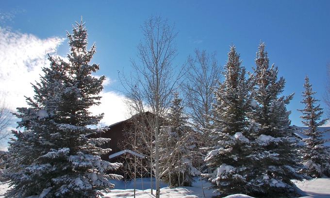 Pagosa Springs House | Magnificent Canyon View Home, Pet Friendly, Huge Deck with Hot Tub