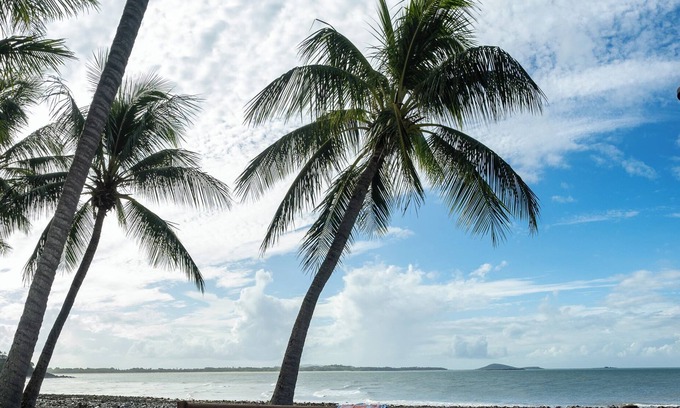 Mackay Regional Resort | Magnificent Garden The Resort @ Dolphin Heads