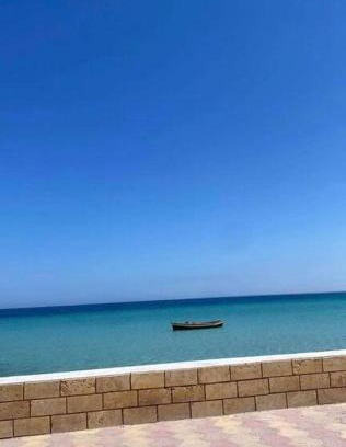 Salakta Apartment | Magnifique appartement - terrasse vue mer