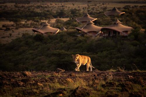 Maasai Mara Other | Mahali Mzuri