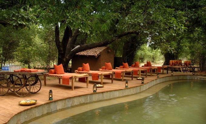 Tala Cabin | Mahua Kothi, Bandhavgarh National Park