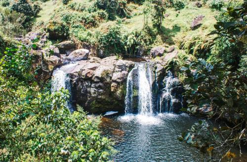 Rombo House | Mai Kilimanjaro Home Stay