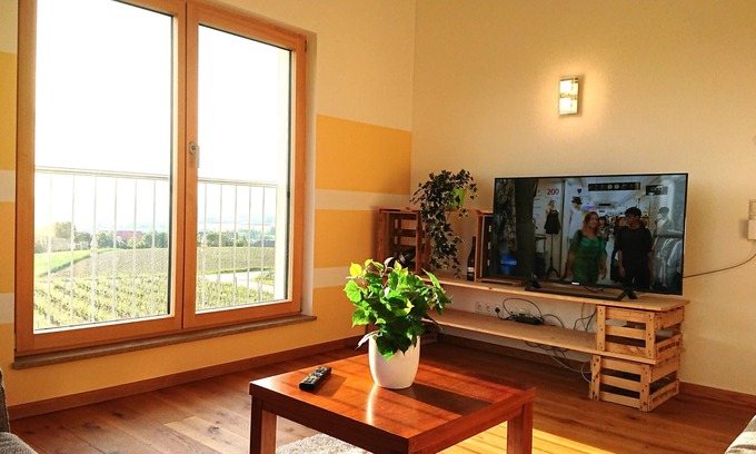 Kitzingen Apartment | Main vacation in the vineyard