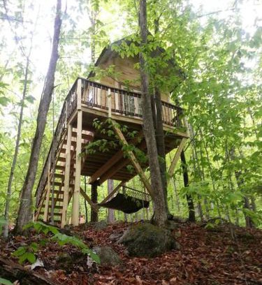 Stoneham House | Maine Woods Treehouse-The Birdie