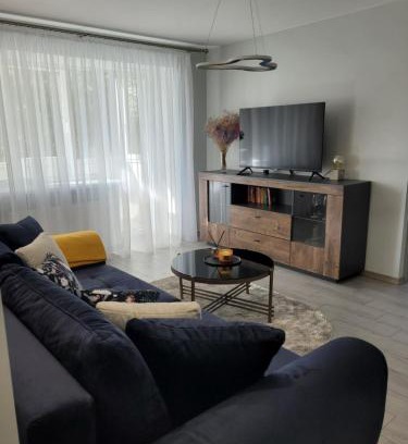 Radviliskis Apartment | Maironio apartamentai