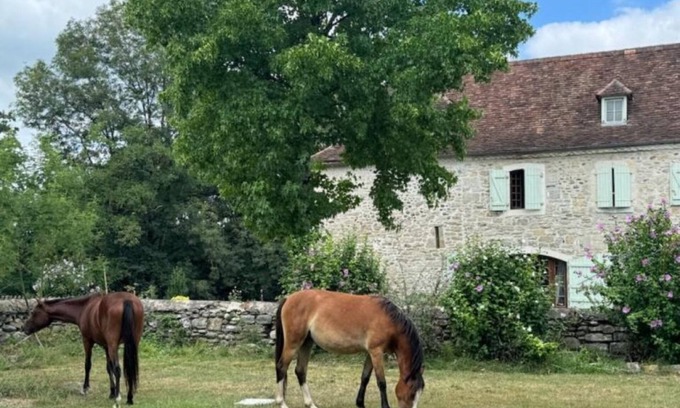 Saint-Gladie-Arrive-Munein House | Maison Hourquebie-Charming house entirely renovated 5 min from the river