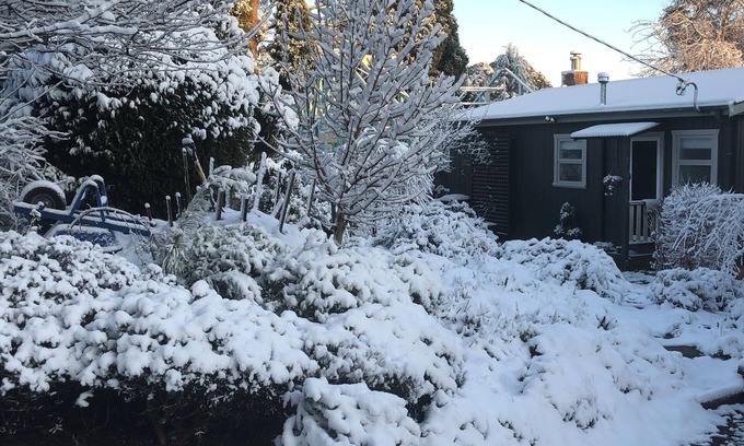 Mount Victoria Cottage | Maisie’s Cottage Cozy 2-bedroom cottage in historic Mount Victoria