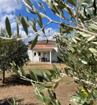 Sorbo-Ocagnano House | Maison à 2 minutes de la mer en voiture