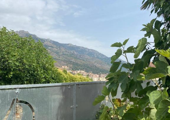 Corte House | Maison à Corte (Centre Corse) avec piscine et jardin