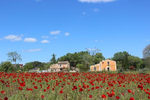 Aspiran House | Maison Abricot et Orange