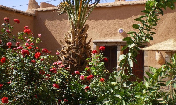 Nekob Bed & Breakfast | Maison D' hôtes Ait Hmid