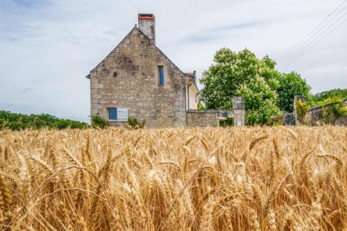 Crouzilles House | Maison de campagne sud Touraine avec piscine 8px