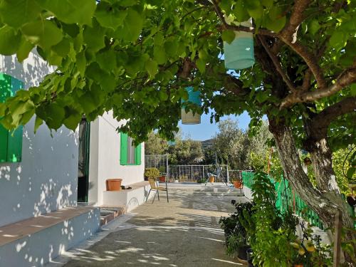 Psinthos House | Maison de village au calme - Alonia Village House