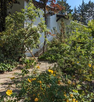 Lavilledieu House | Maison spacieuse et lumineuse 4 personnes