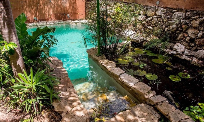 Barrio de Santiago House | Majikal BnB House of the Xolos