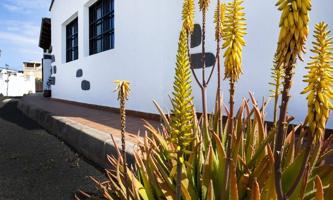 La Oliva Villa | Majorera typical villa in El Roque