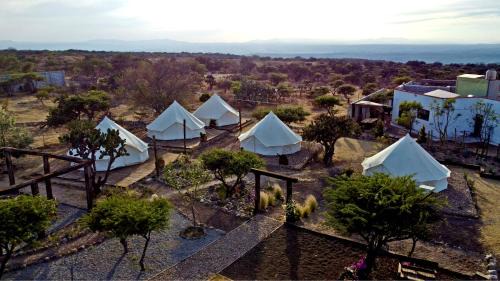Colonia Mexiquito Hotel | Maka Haui Glamping