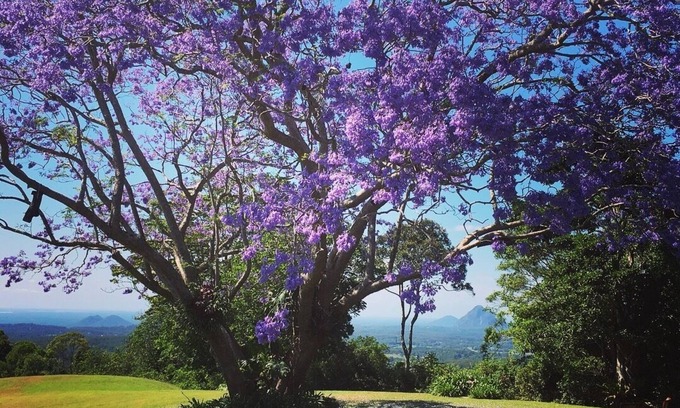Maleny House | Maleny - 3 bedroom house with Outstanding Sunshine Coast Hinterland Views