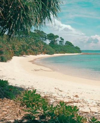 Neil Island Hotel | MALLICK PALACE Neil Island South Andaman
