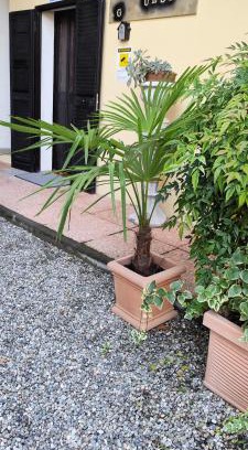 Case Nuove House | Malpensa Guest