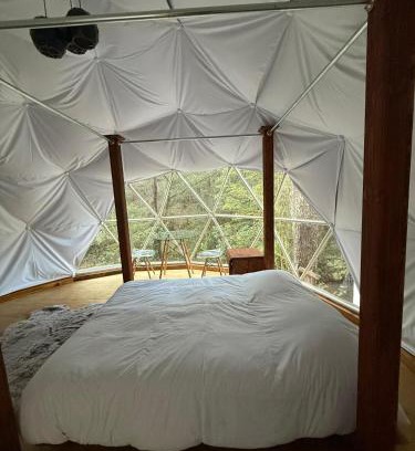 Zacatlan Other | MANDALA CAMP