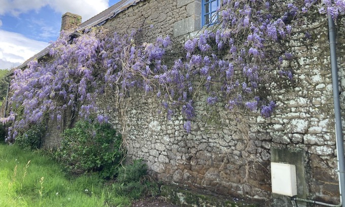 Saint-Remy-du-Plein Cottage | Manoir de Campagne Avec Parc Arboré de 7000m²